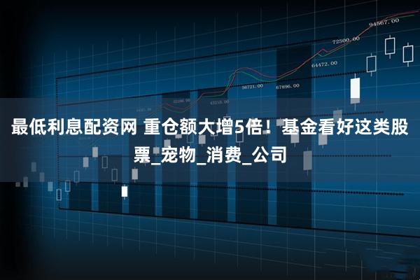 最低利息配资网 重仓额大增5倍！基金看好这类股票_宠物_消费_公司