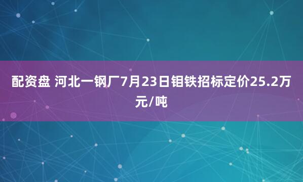 配资盘 河北一钢厂7月23日钼铁招标定价25.2万元/吨
